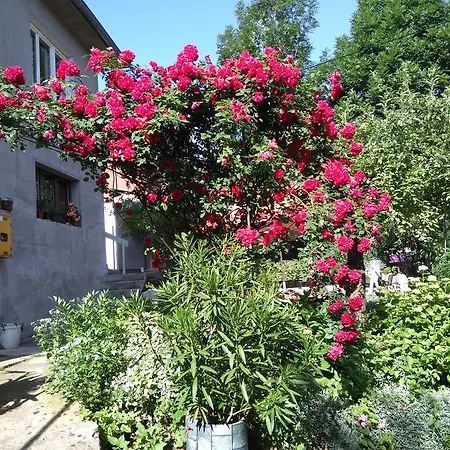 Appartement Sarajevo: A With A View Sarajevo